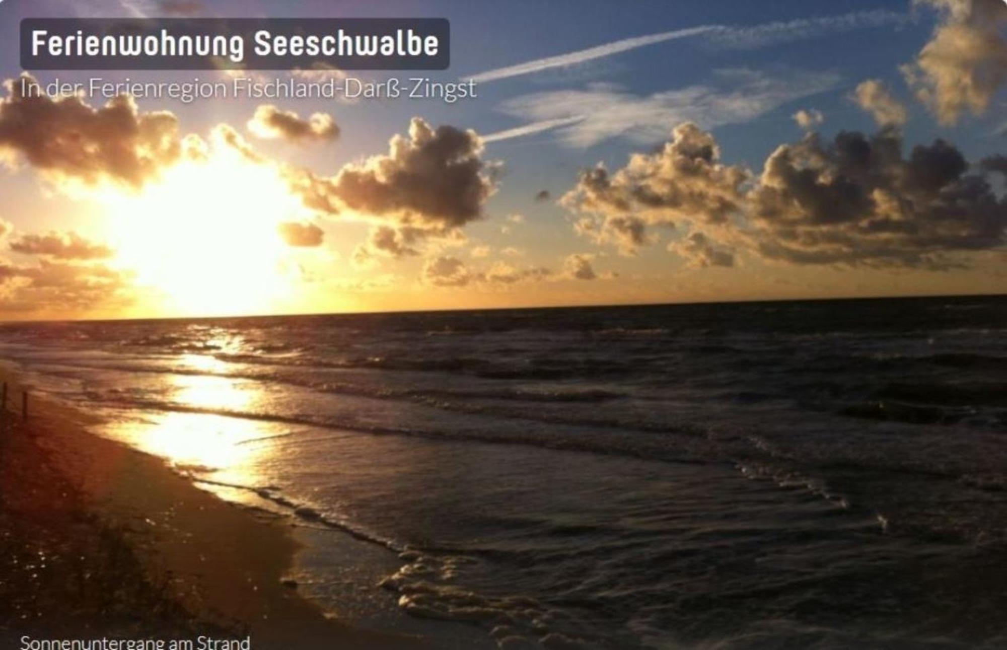 Seeschwalbe App 34 Neuhaus  Екстер'єр фото